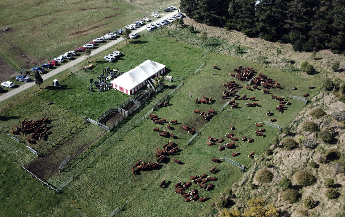 Shrimptons Hill From Top.jpg