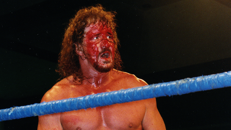 Terry Funk: Hardcore