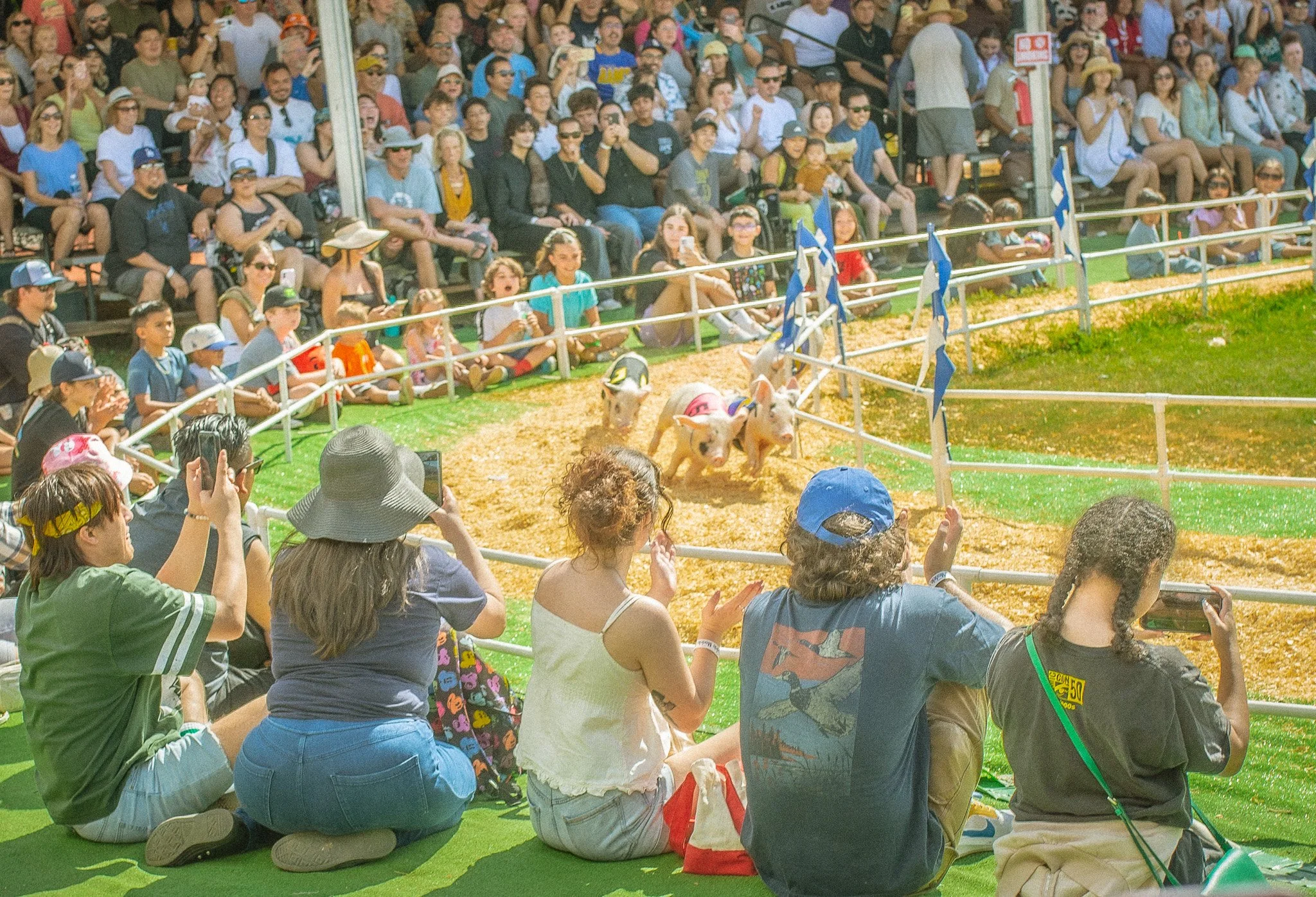 DSC_9353.jpg