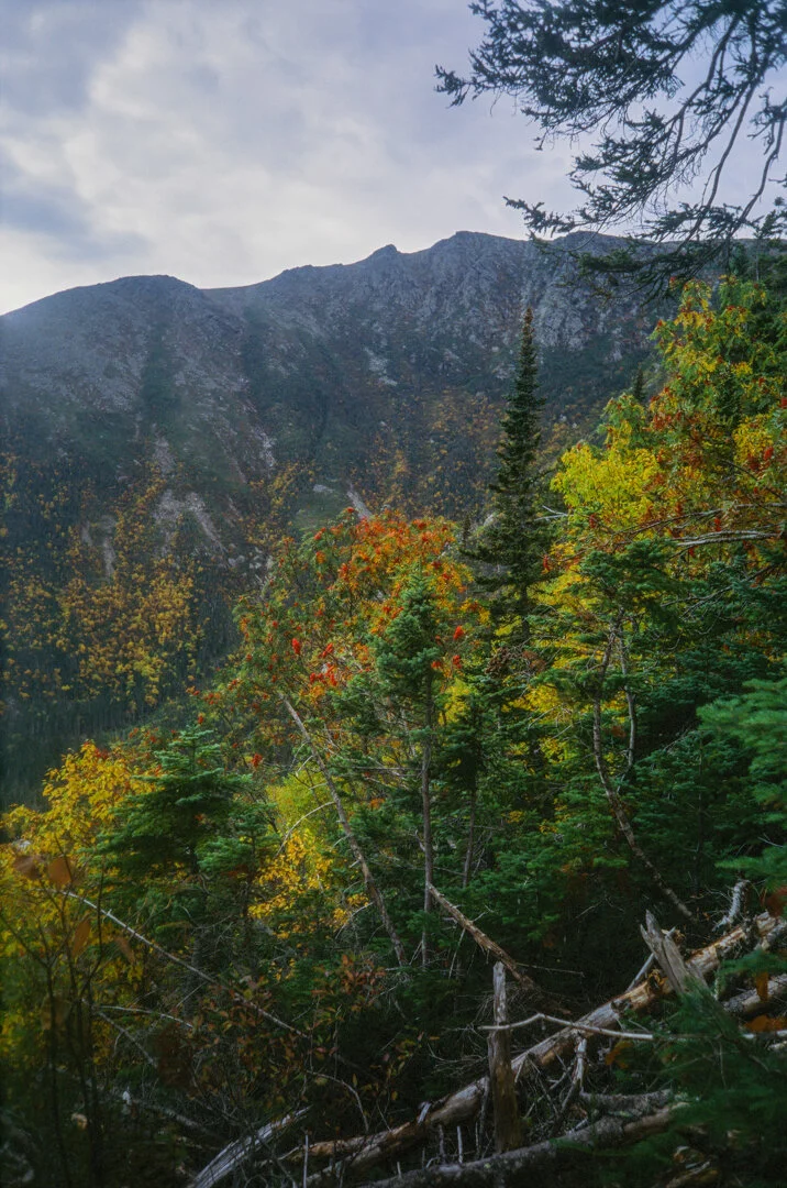 WashingtonFinal (1 of 1)-2.jpg