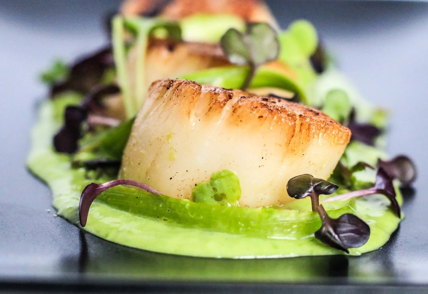 Seared Scallops with Pea Puree.jpg