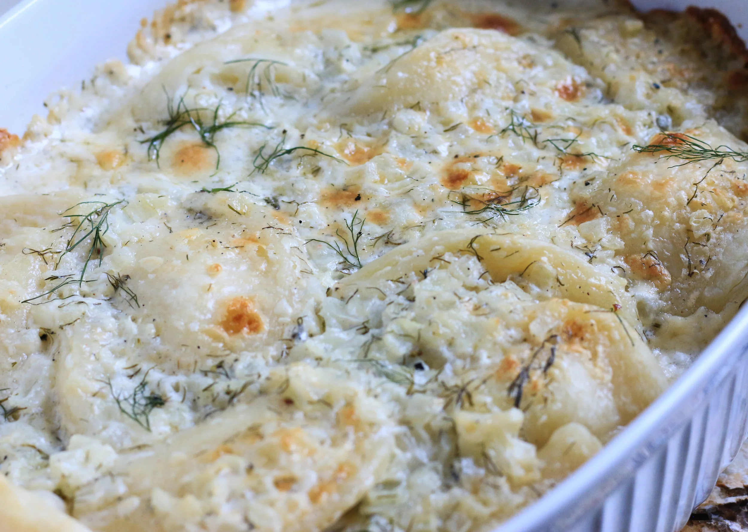 Homemade+Perogies+Baked+in+a+Creamy+Dill+Sauce-2.jpg