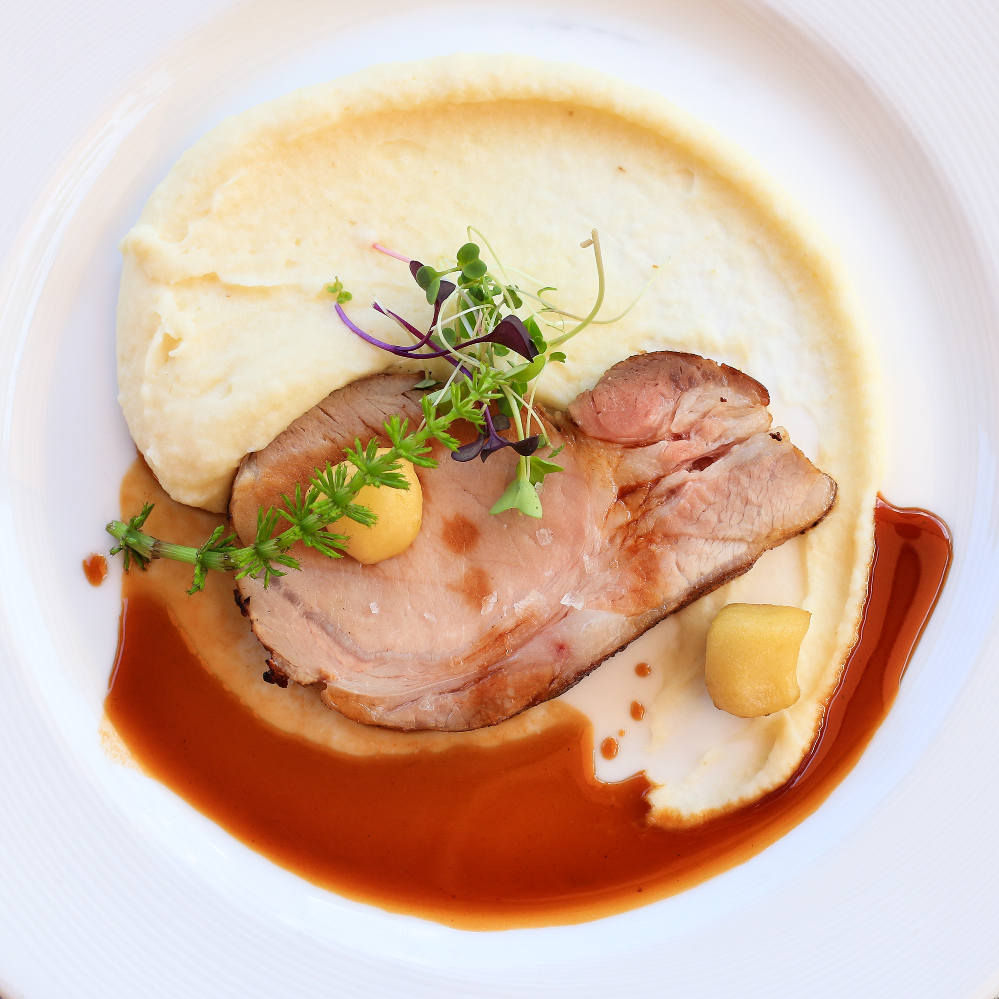 Olive oil poached cutter ranch pork loin, apple, cedar maple gastrique, celeriac