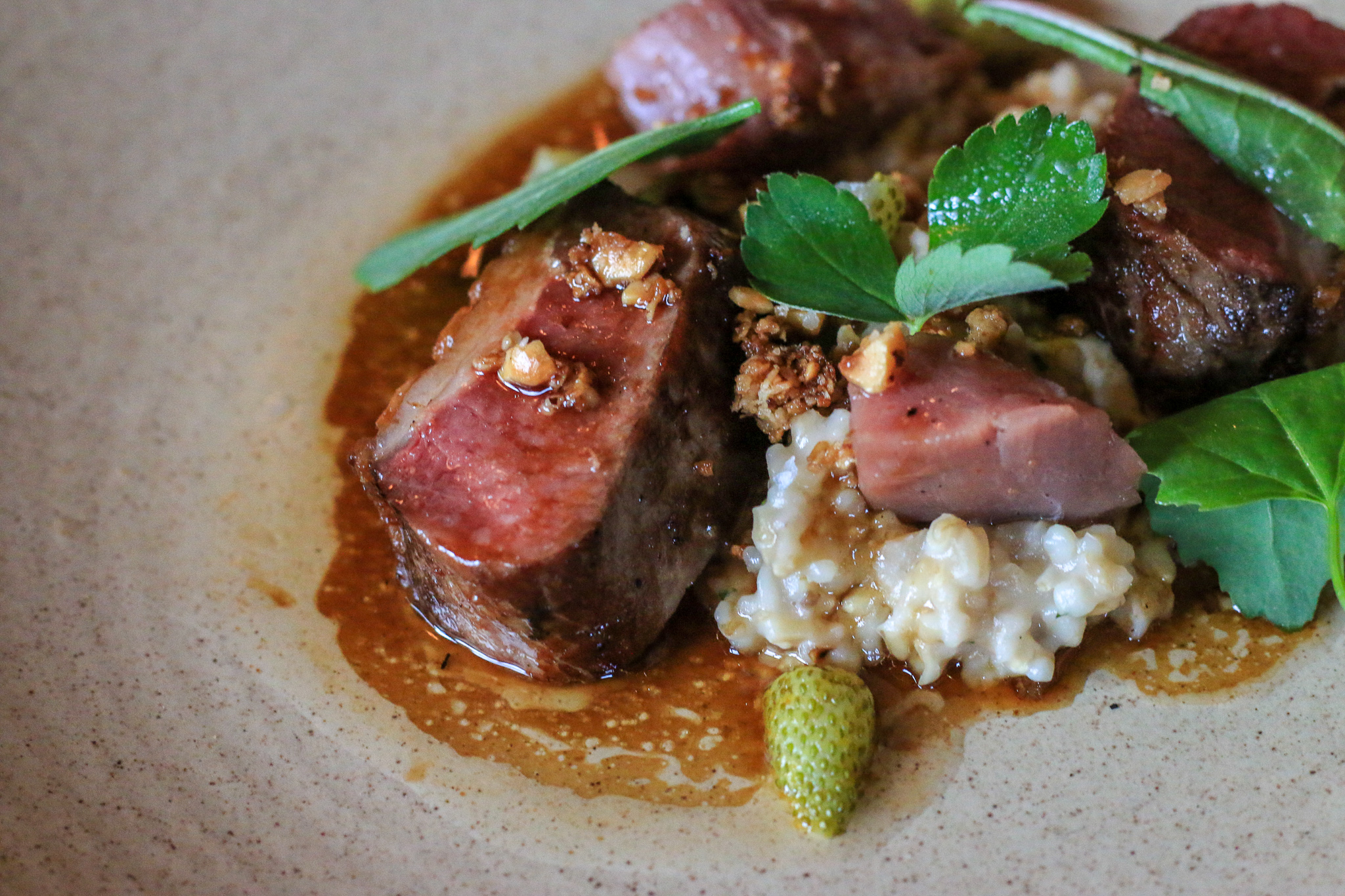 Lamb loin, labneh, green strawberries, wild greens, toasted oats