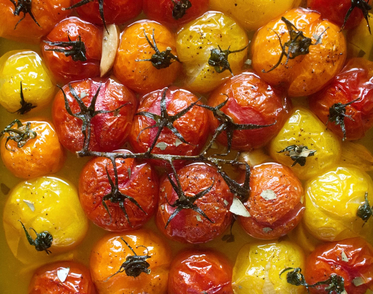 Confit+Tomatoes+with+Whipped+Feta+on+Sourdough.jpeg