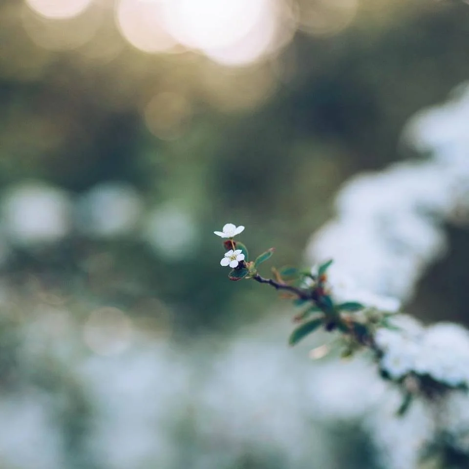 How to free yourself (right now) if you've taken on too much!