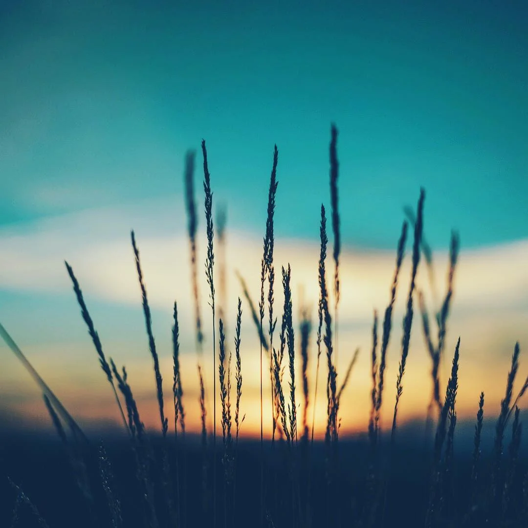 How to lovingly pick yourself back up again