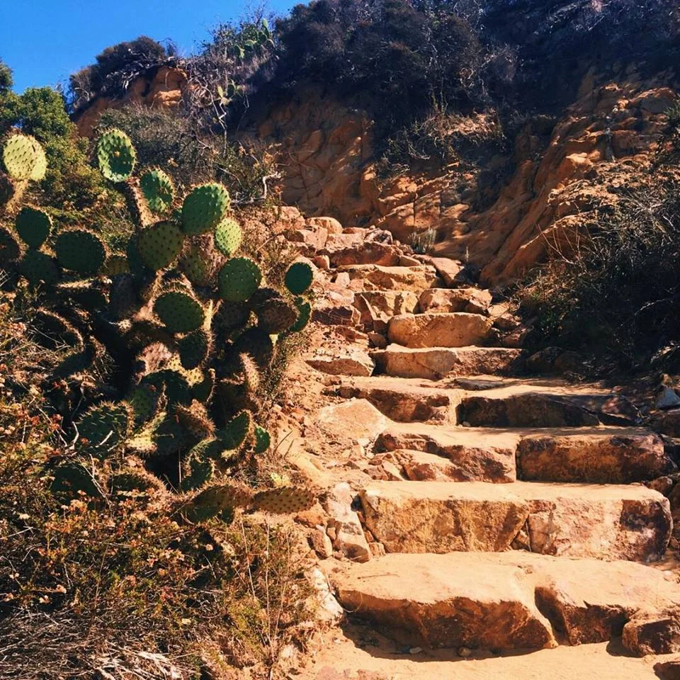 Put your trust in faith