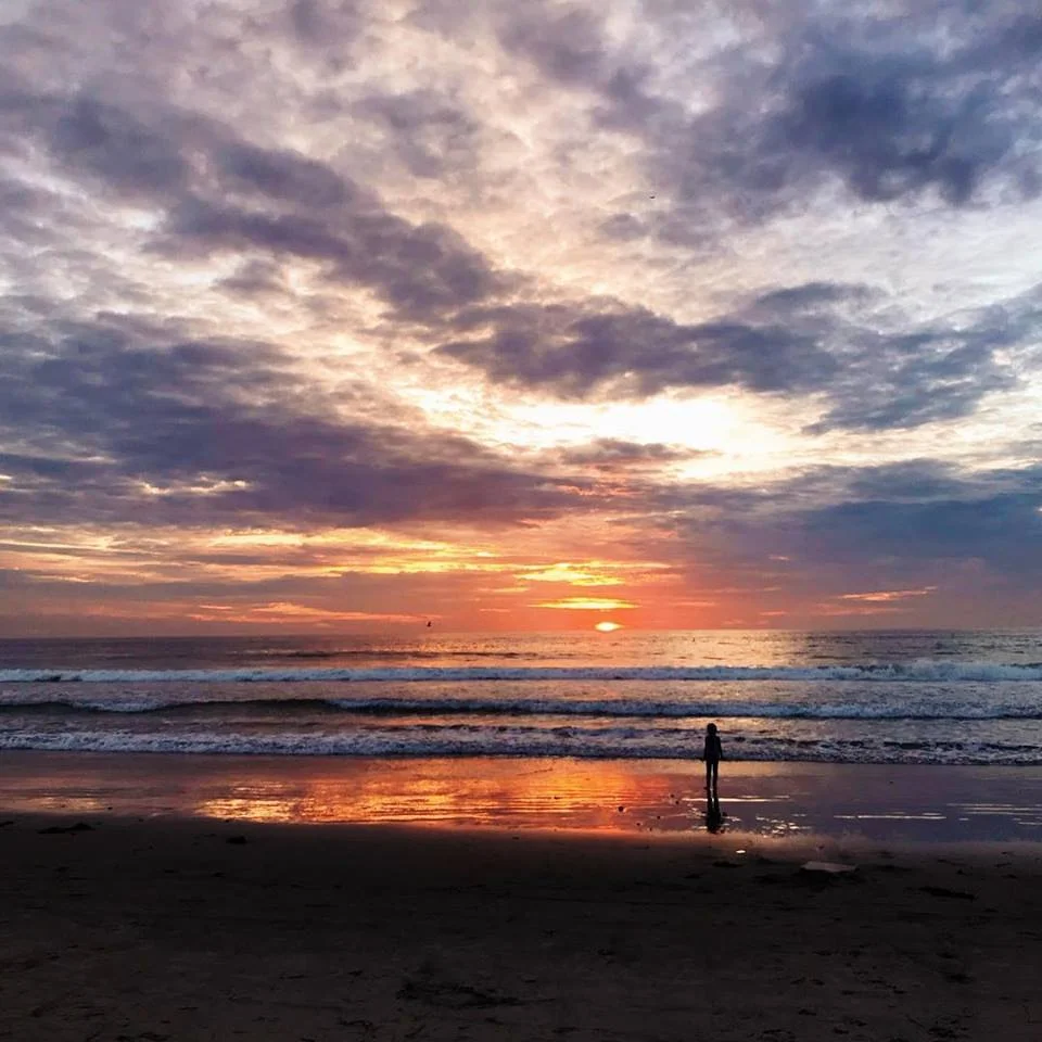 Do you want your excuses or your success?