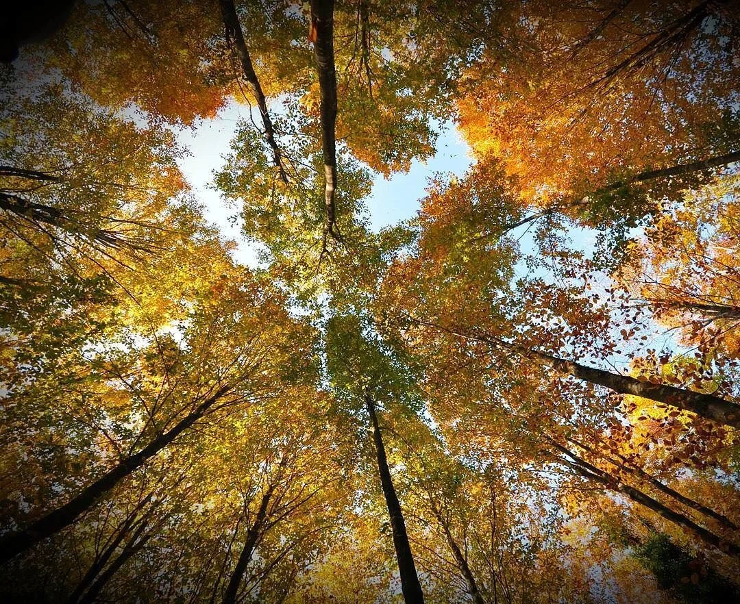 Six steps to break free from what's not working