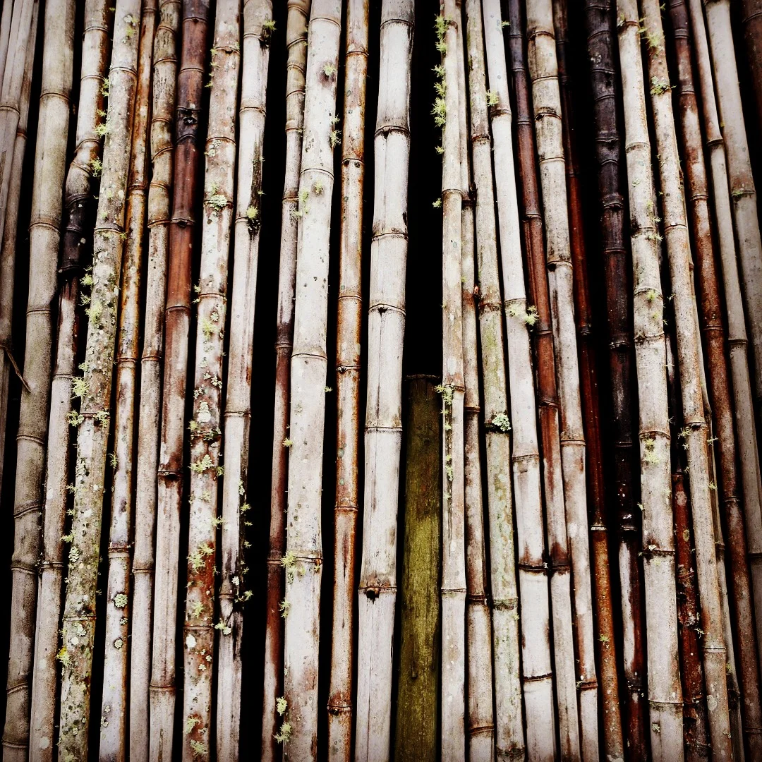 Your needs don't go away