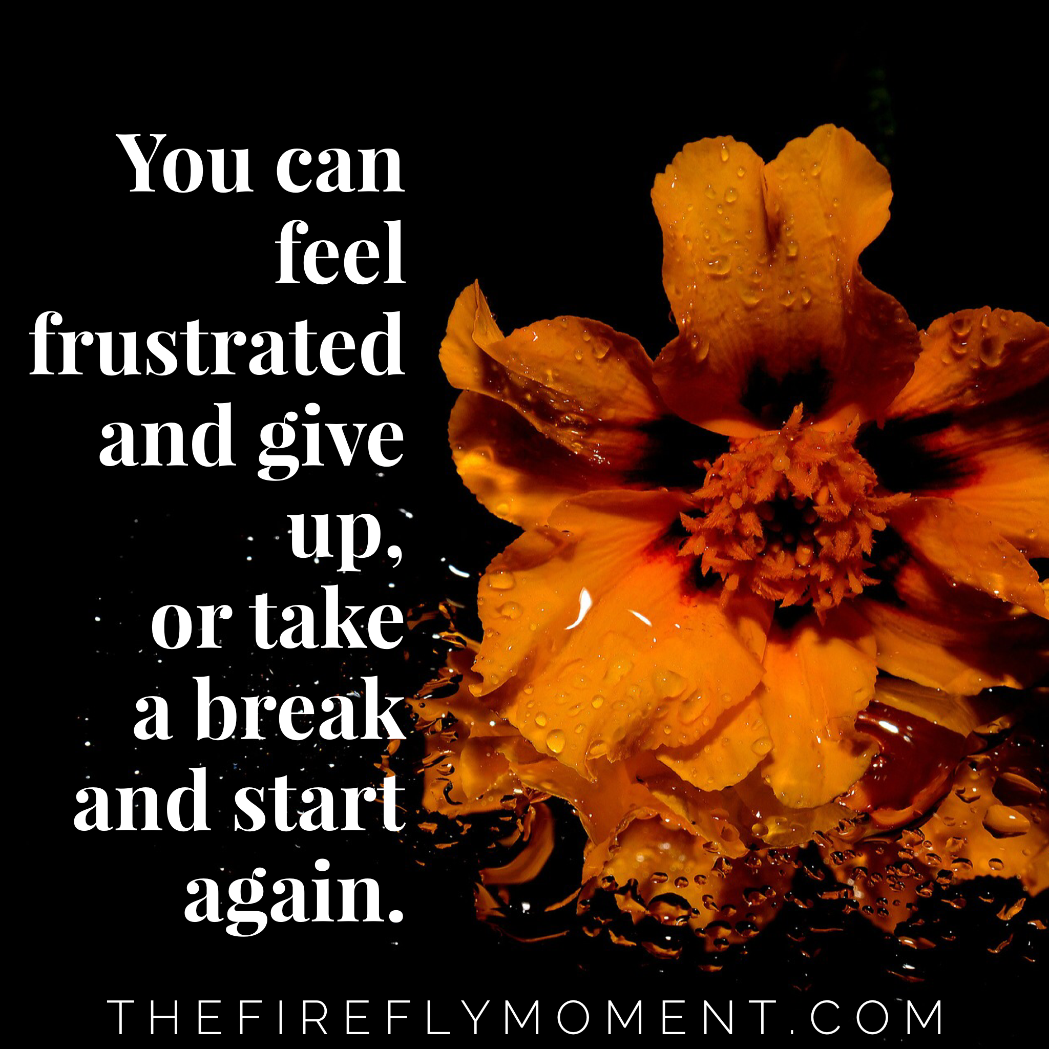 Take a break and start again