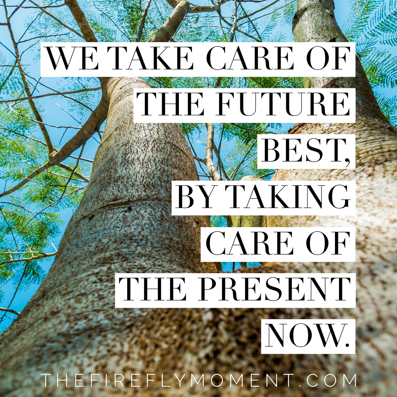 Take care of the future, by taking care of the present