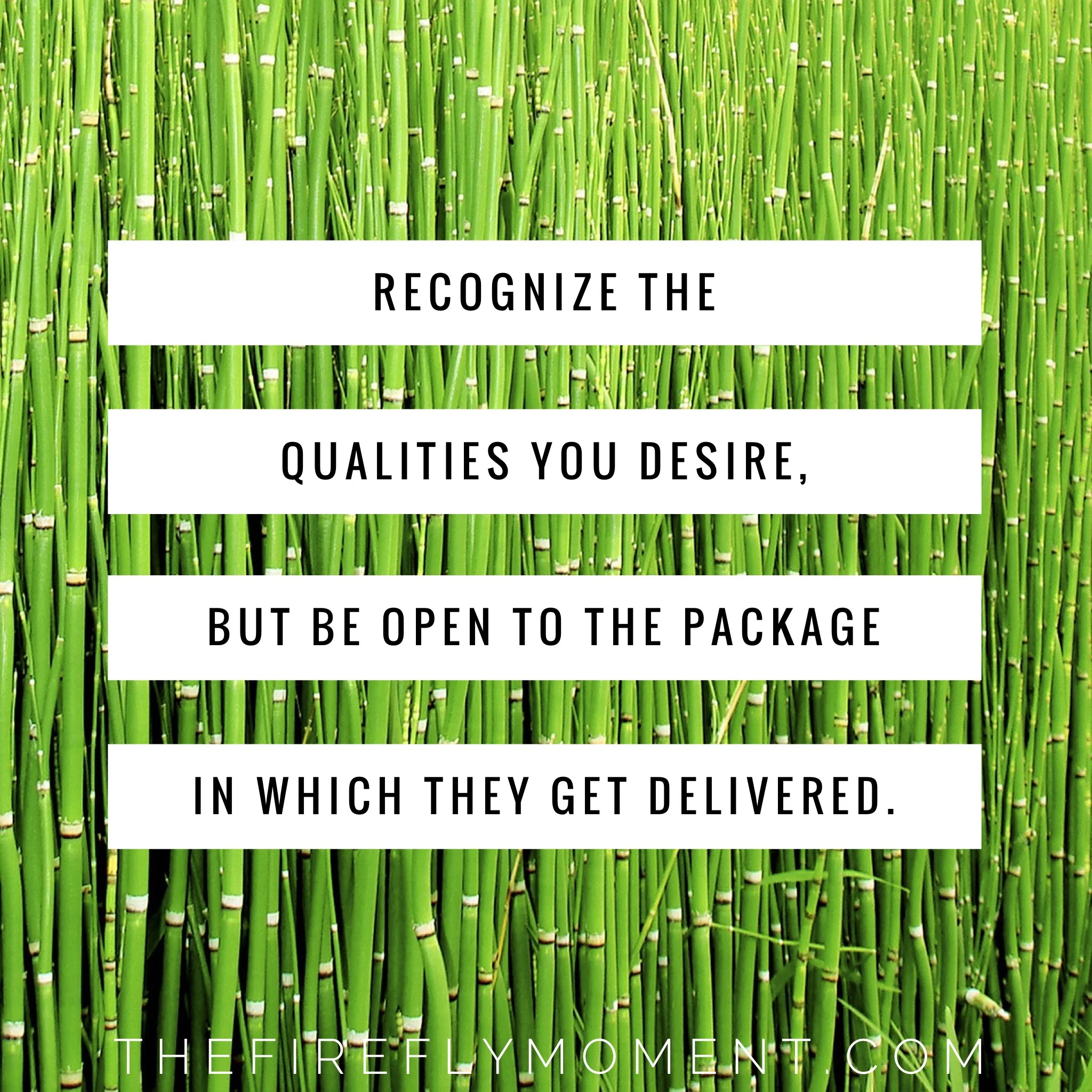 Recognize the qualities—be open to the package