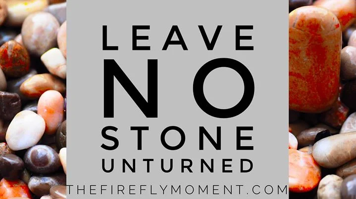 Leave no stone unturned