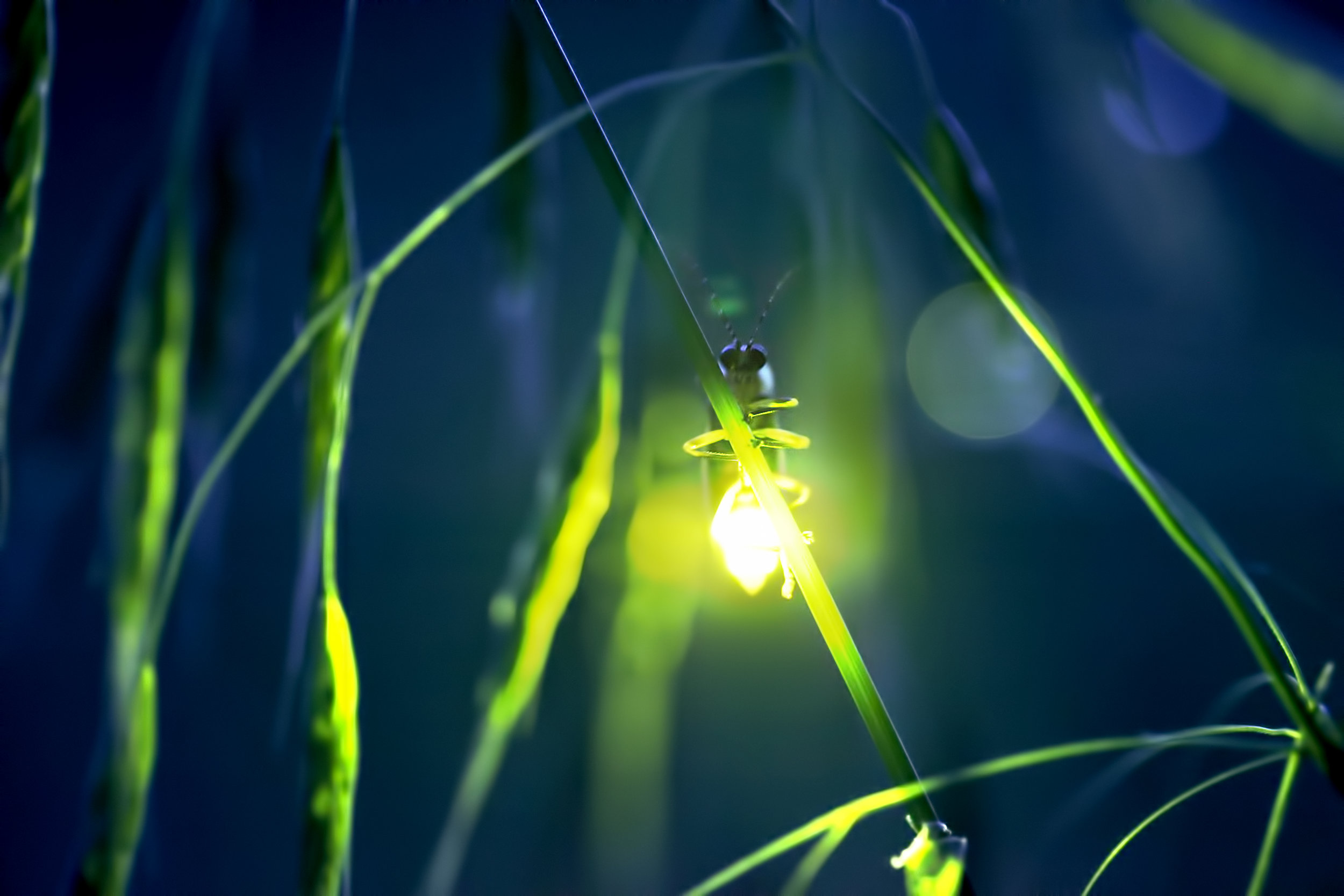 10 ways to rediscover your passion