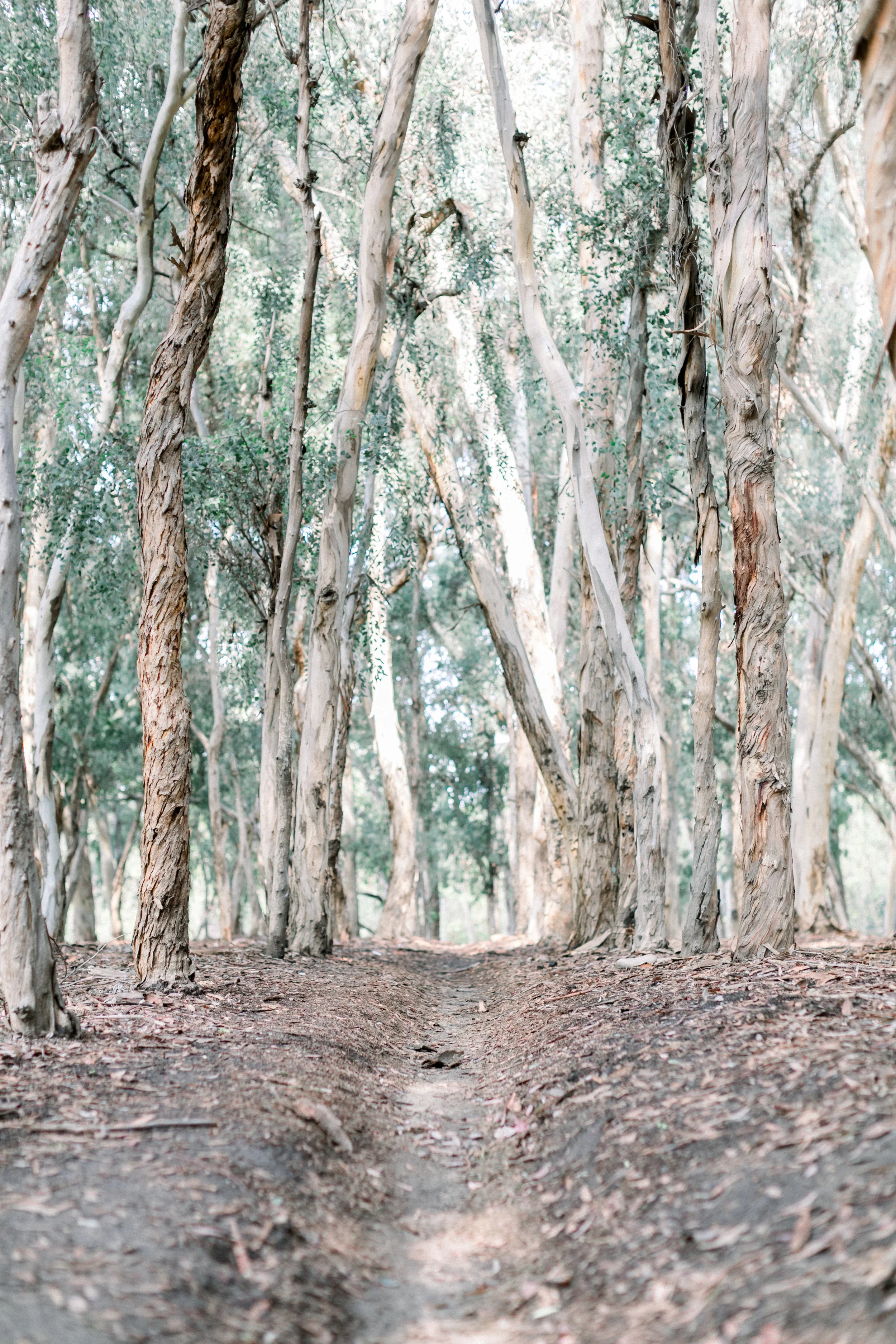 Pssst...want to create more time and energy for yourself?