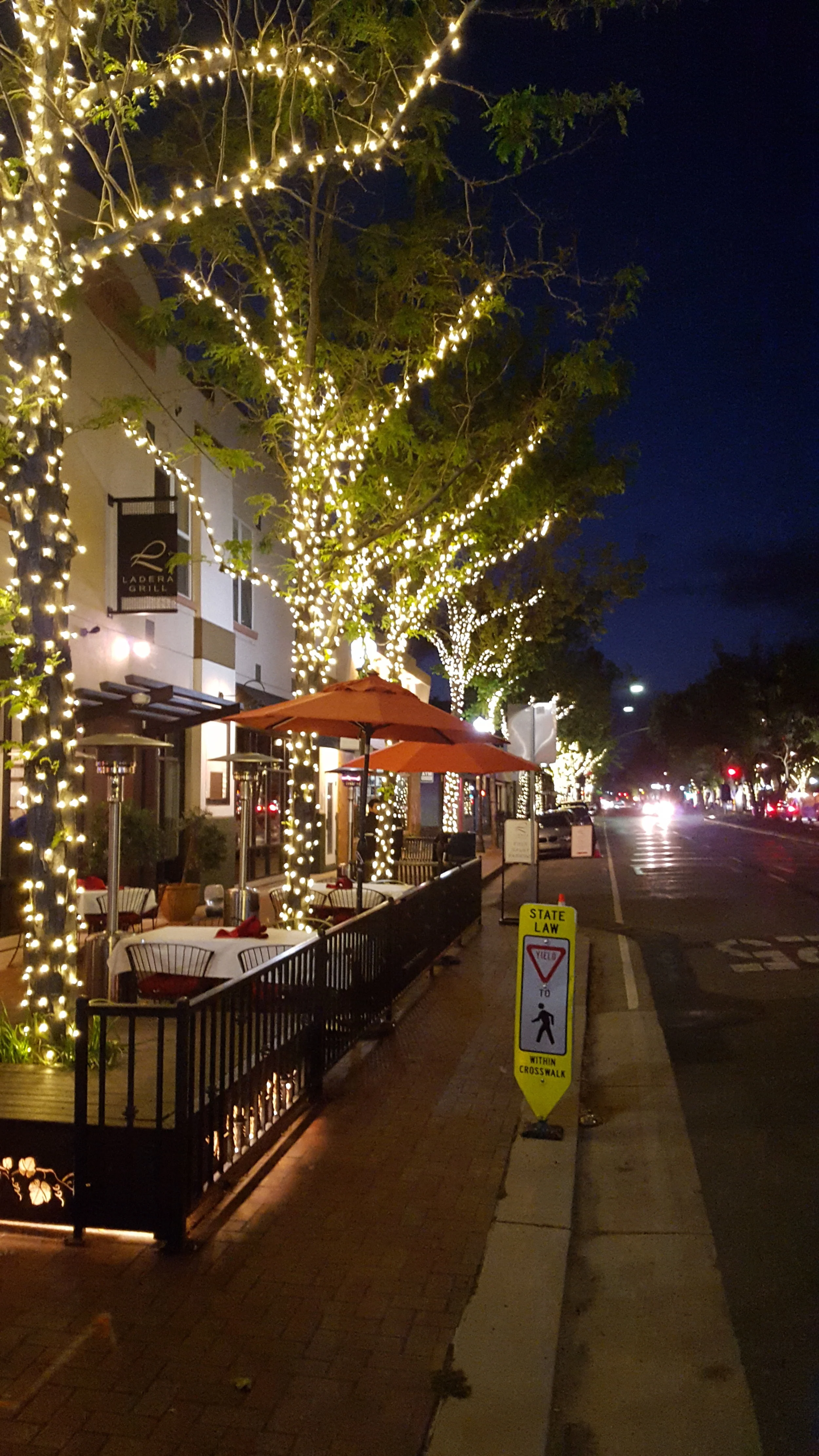 Downtown Tree Lighting
