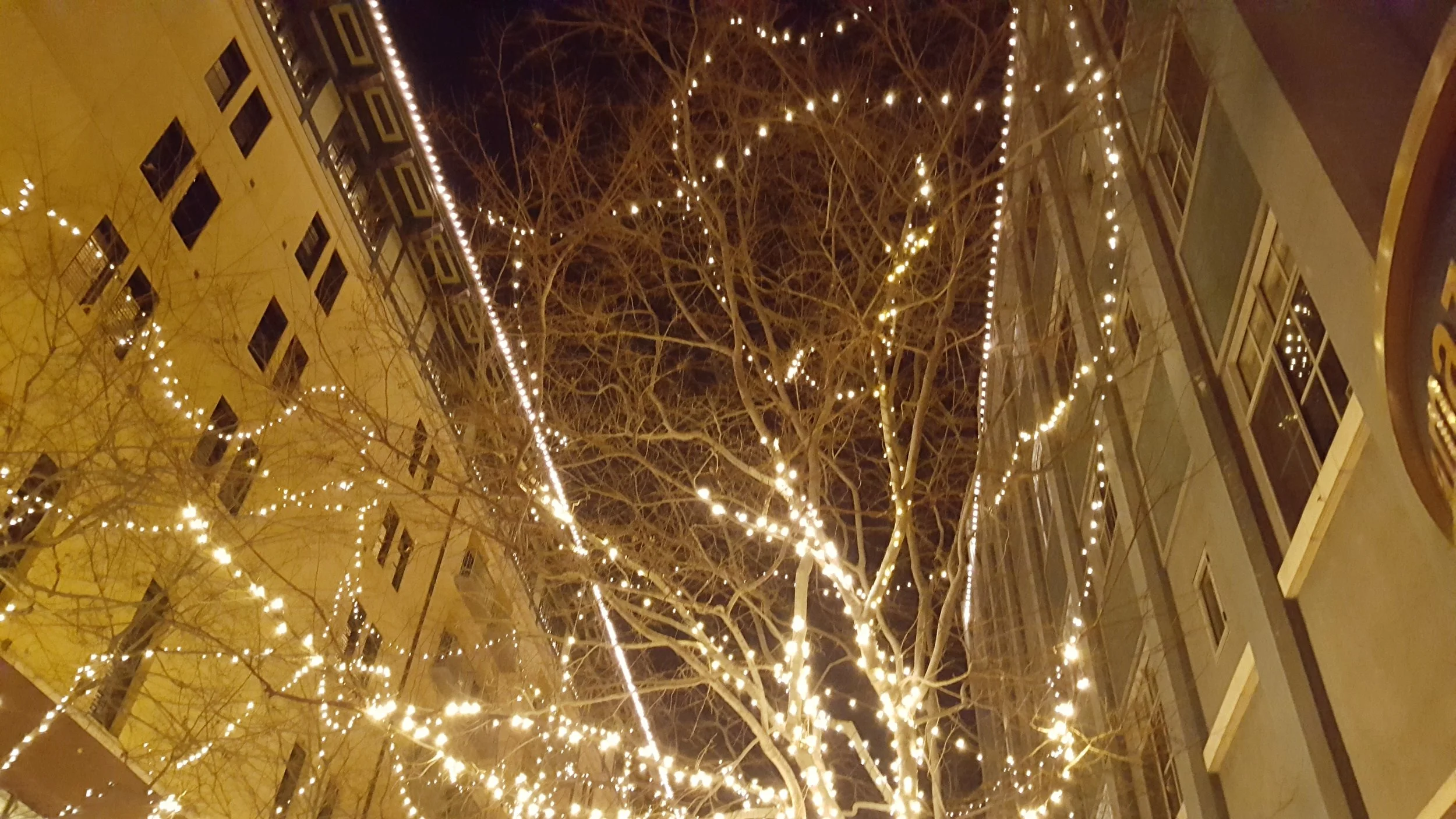 20181229_201948.jpg