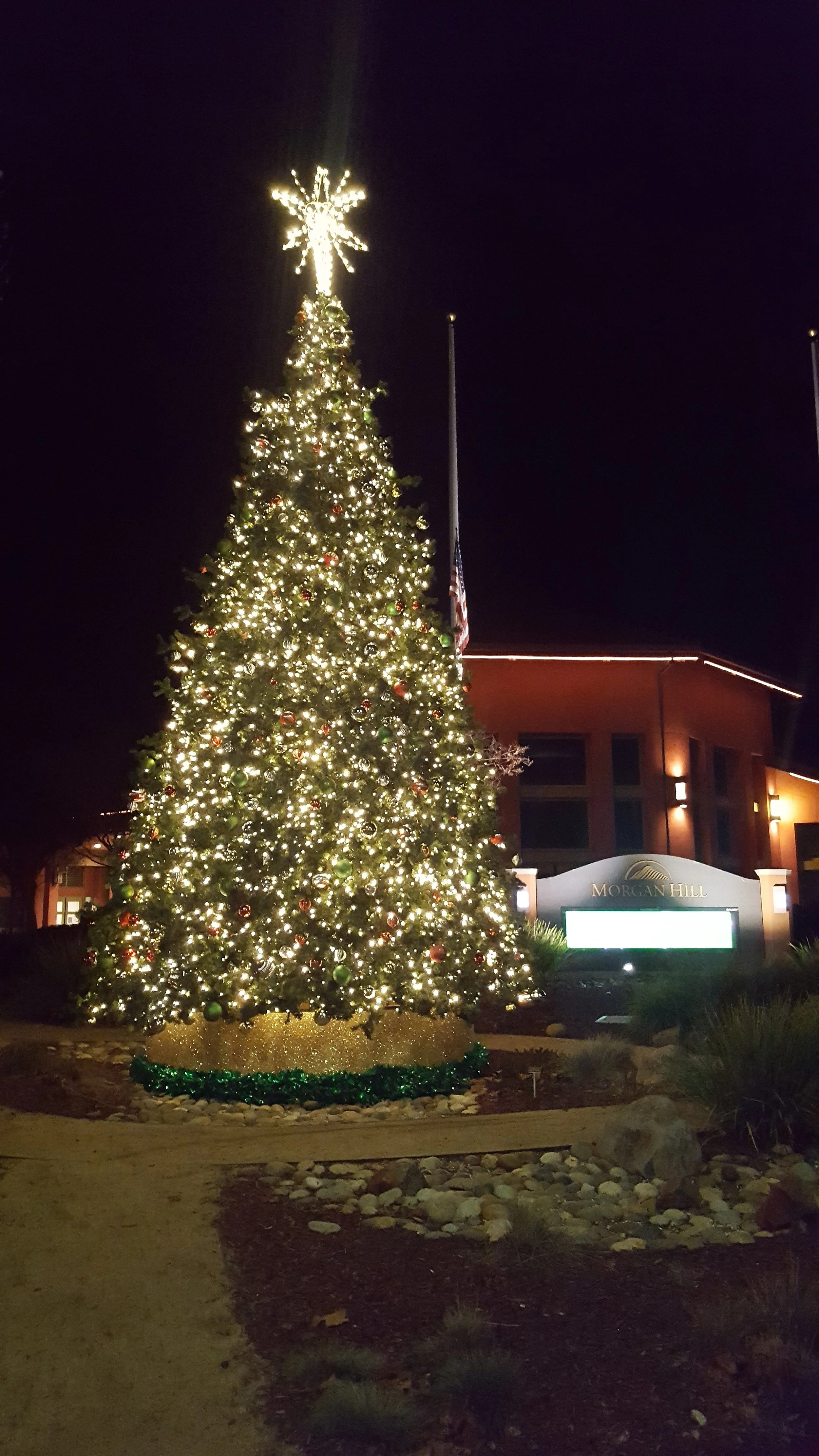 20181229_214111.jpg