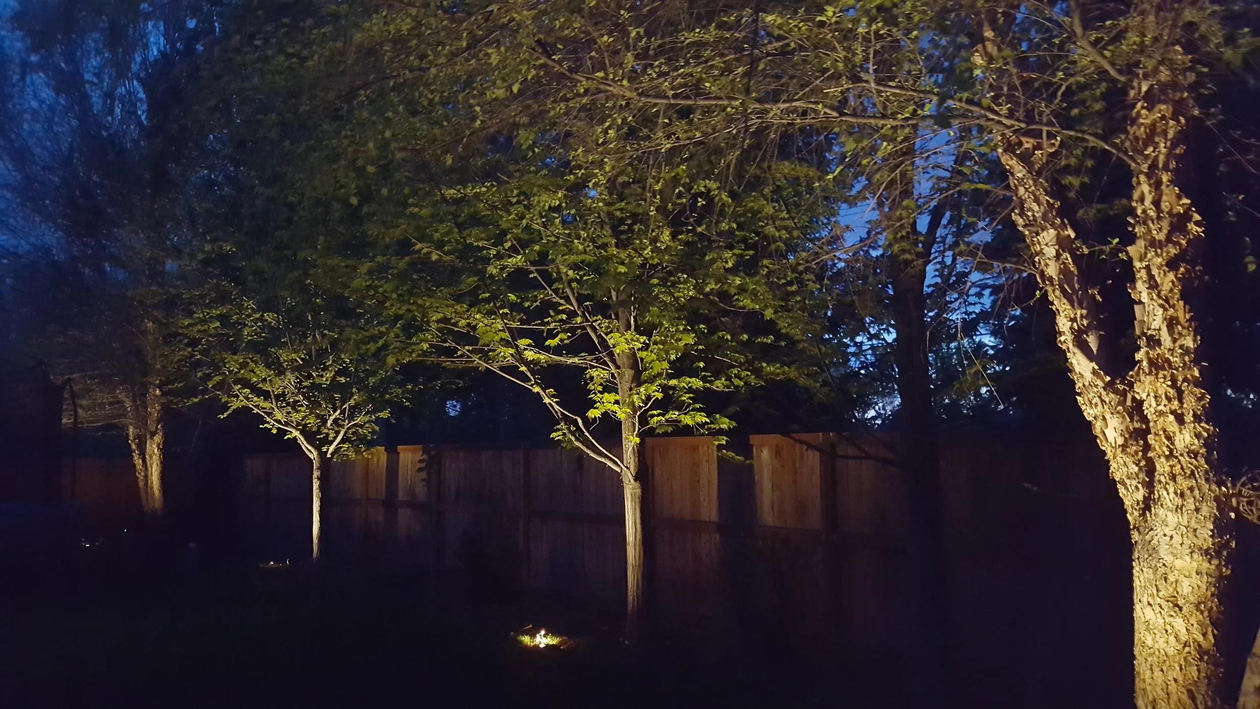 20190425_211025.jpg