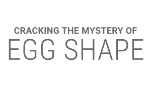 Rolling_Eggs.gif