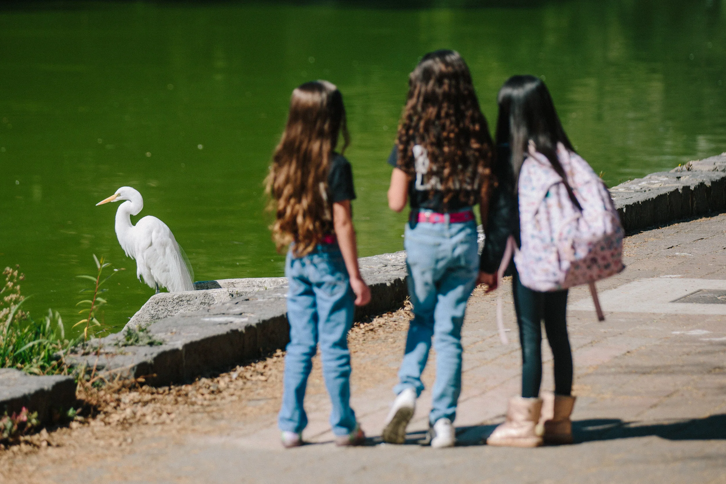 Sofia , Itzel y Jess en Chapultepec