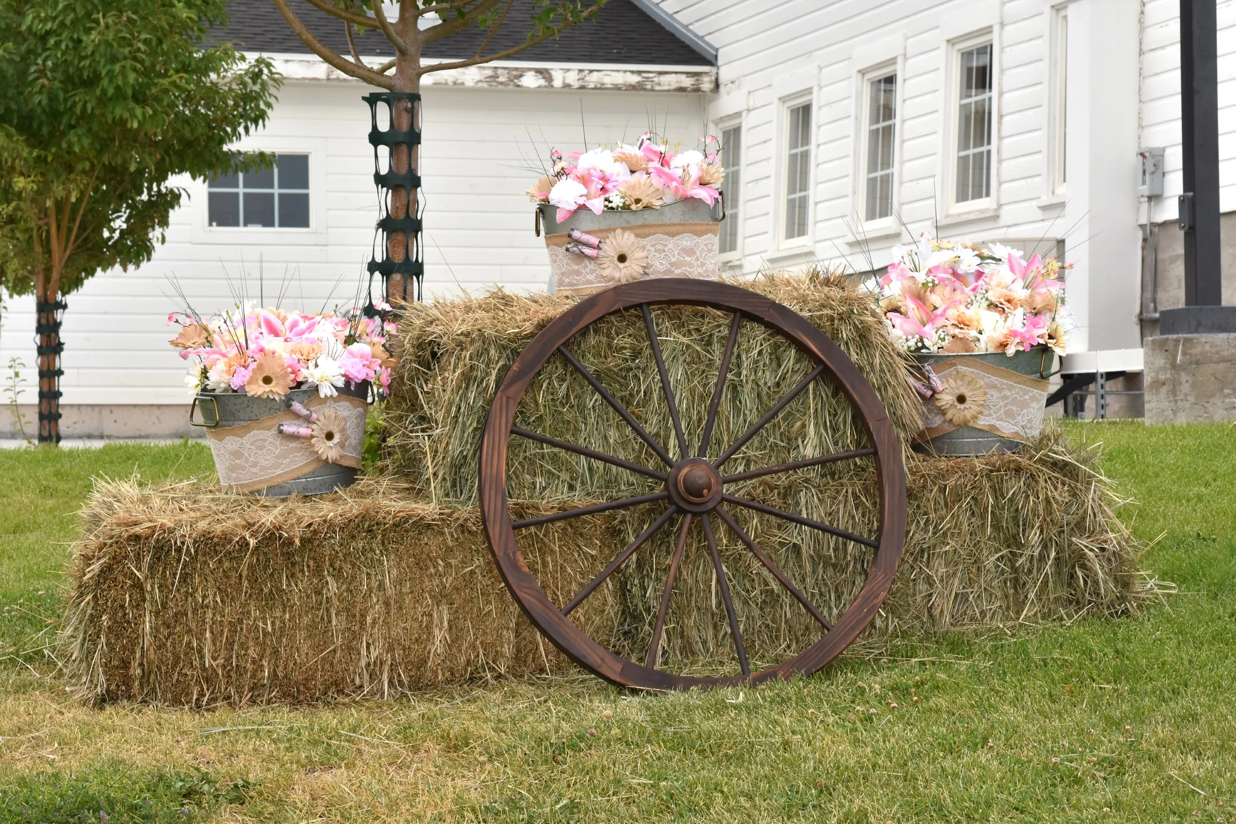 0006-DSC_6785 (Custom).JPG