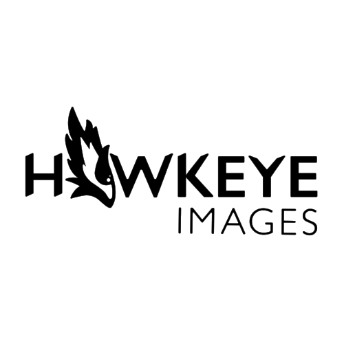 logomark3x.png