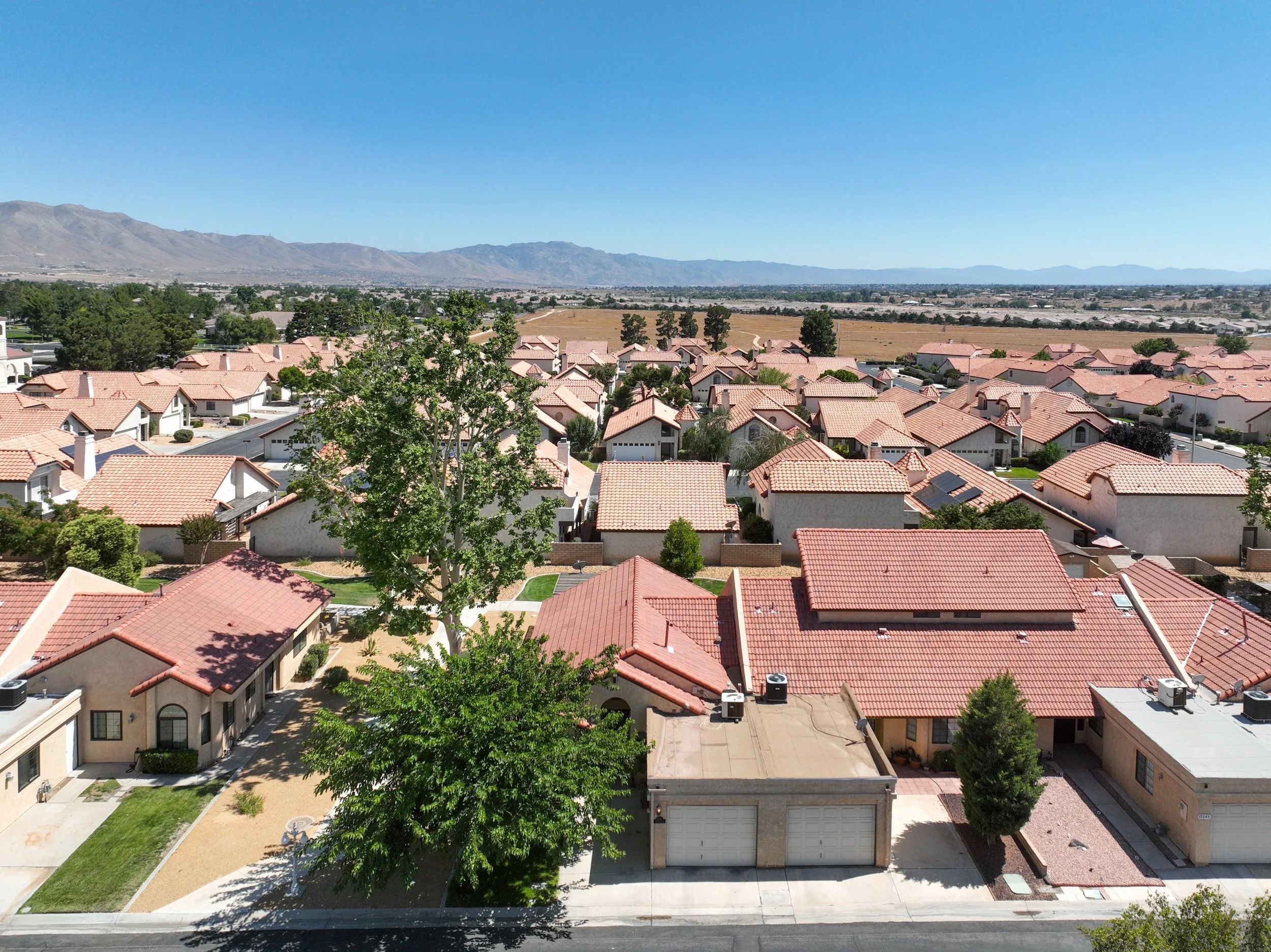 DJI_0606.jpg