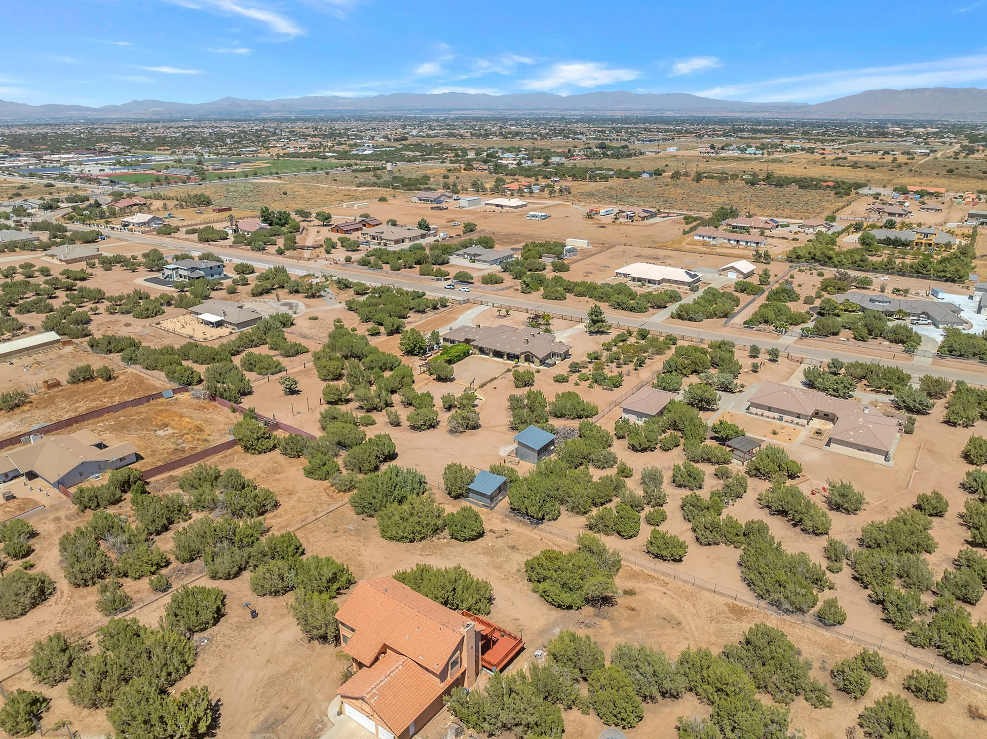 DJI_0875.jpg