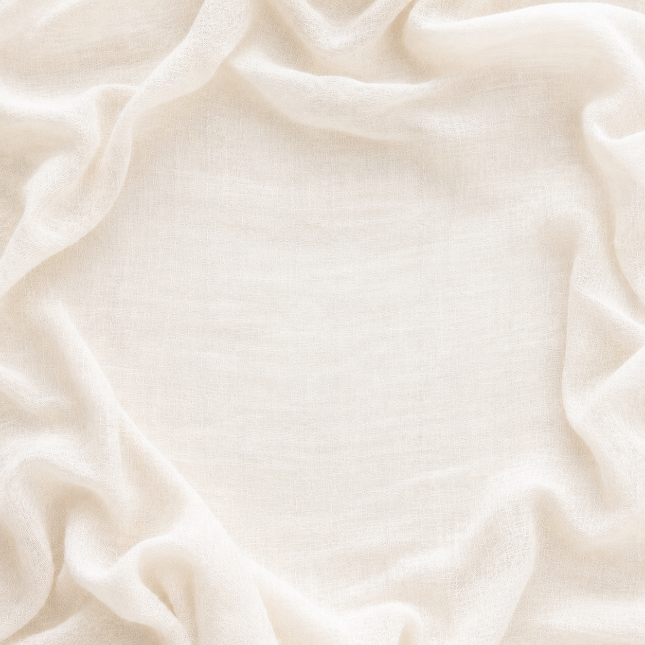 527C8040-7A54-48BA-AD52-2B0DF949DD6E.png