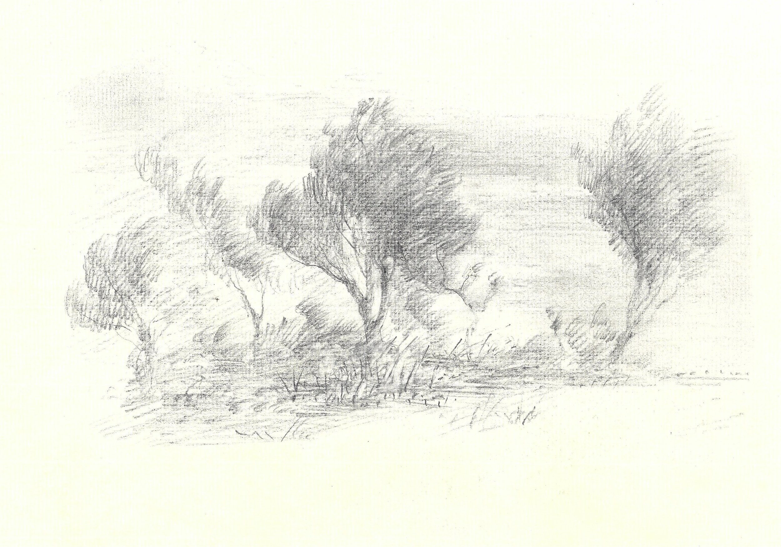 Scan 2 7.jpeg