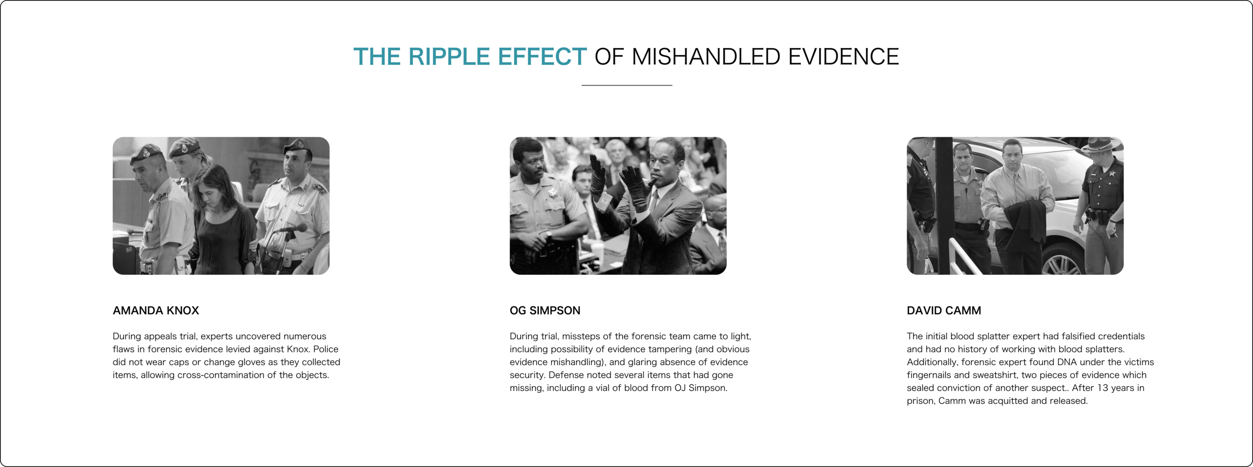 Portfolio_therippleeffect.png