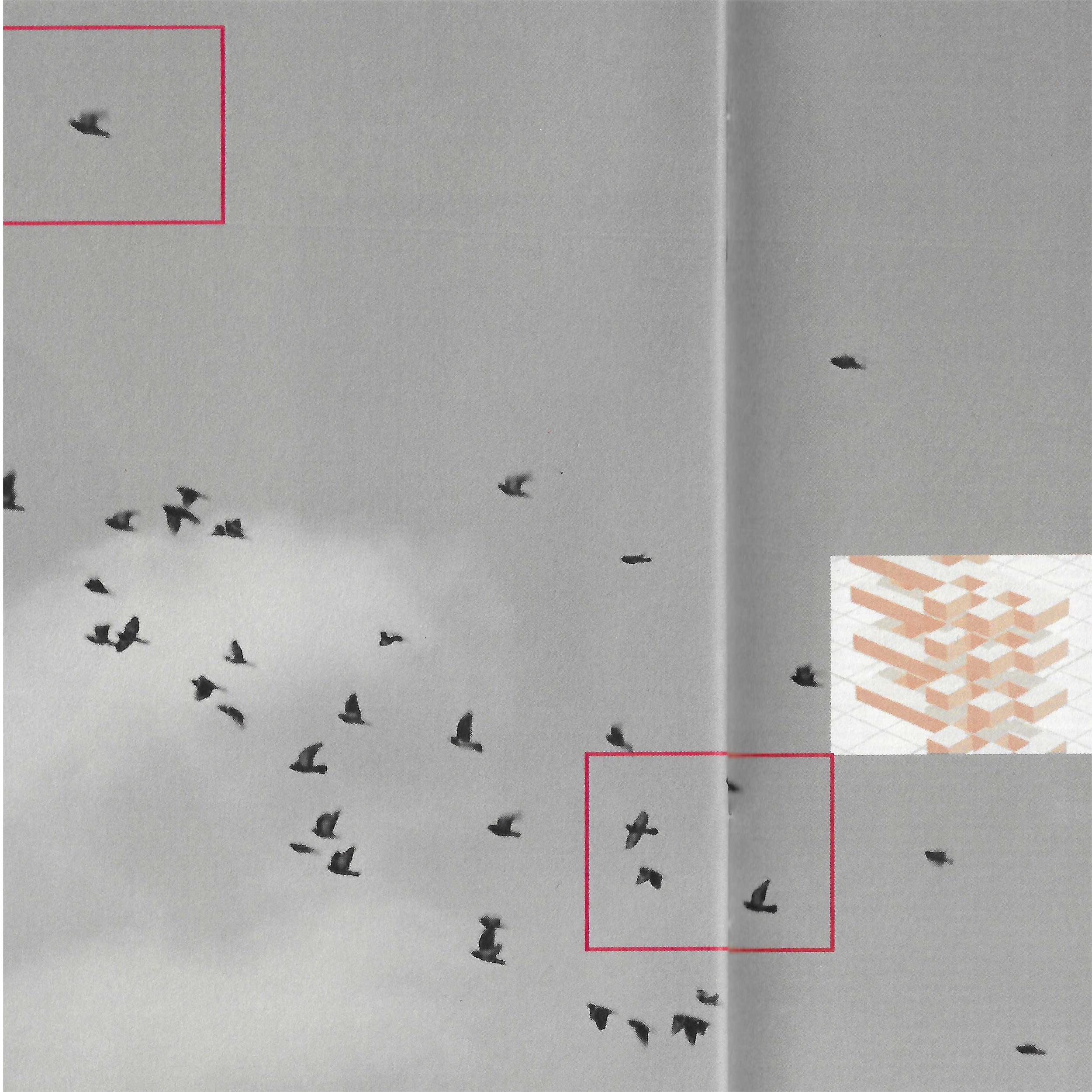 postlayout-05.PNG
