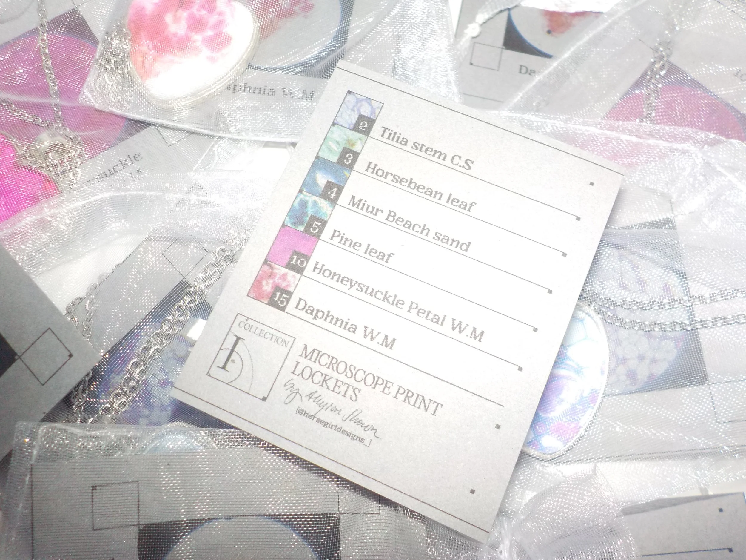 DSCN0388.png