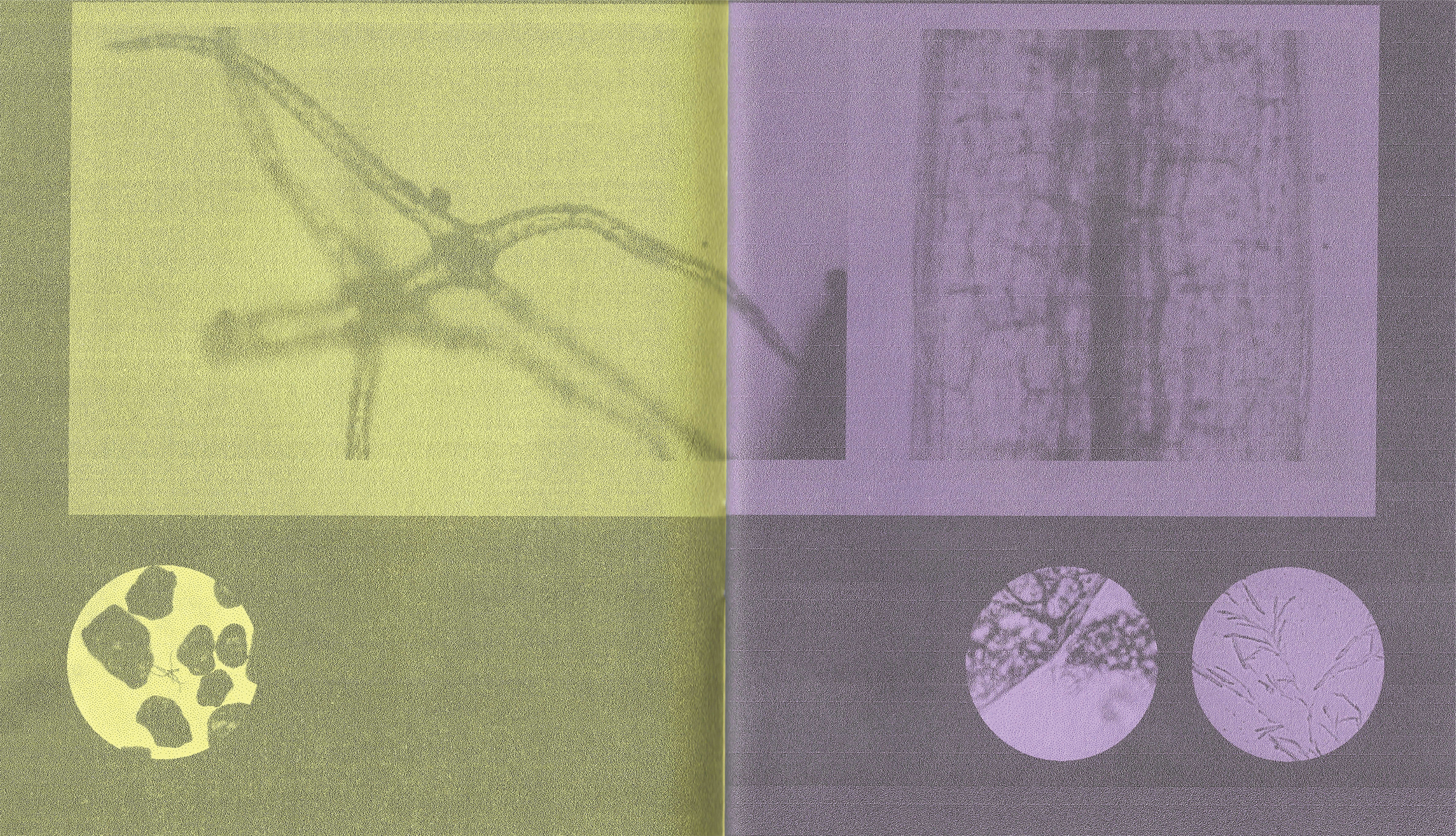 spreadlayoutpost-07.png