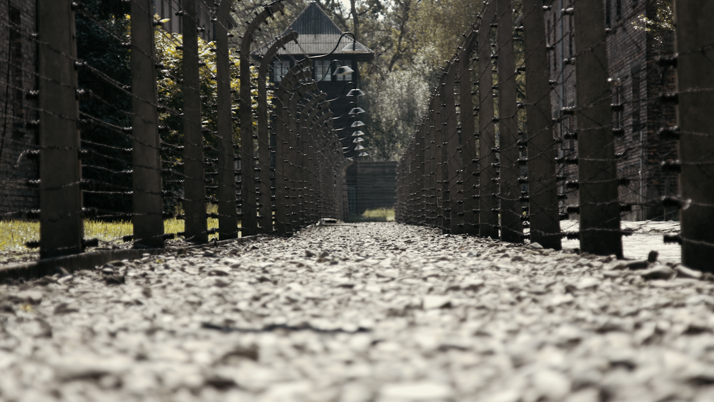 Auschwitz Fence.png