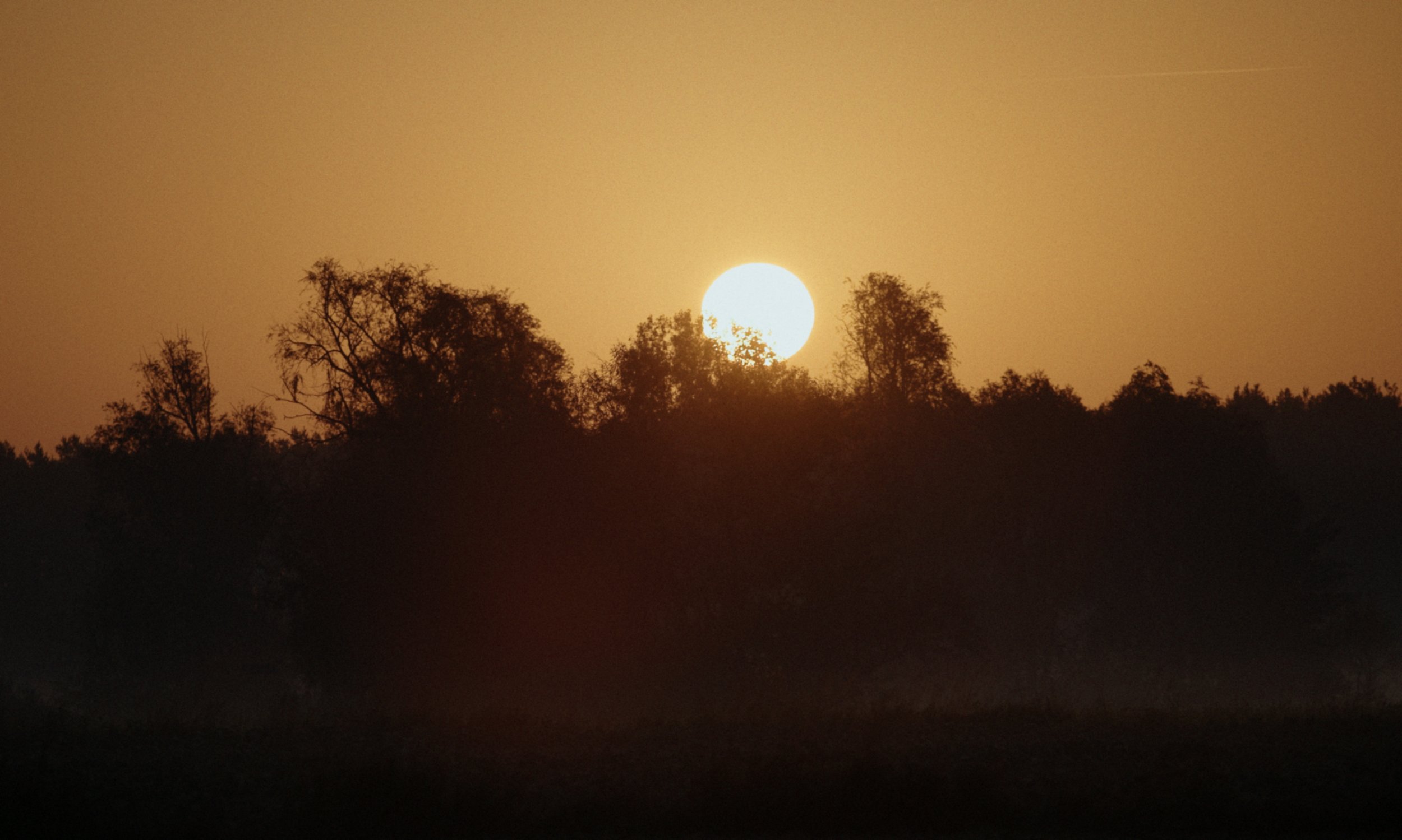QV_211025_1.72.1.jpg