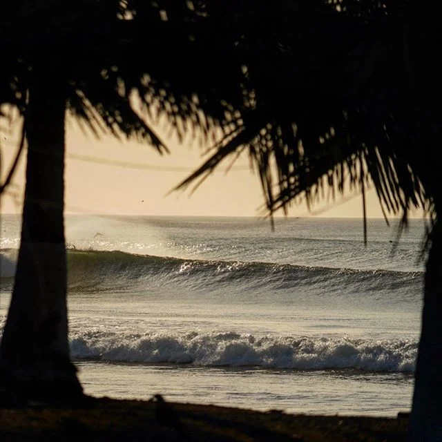 Yoga Retreat in Panama with Daniela Kent.jpg