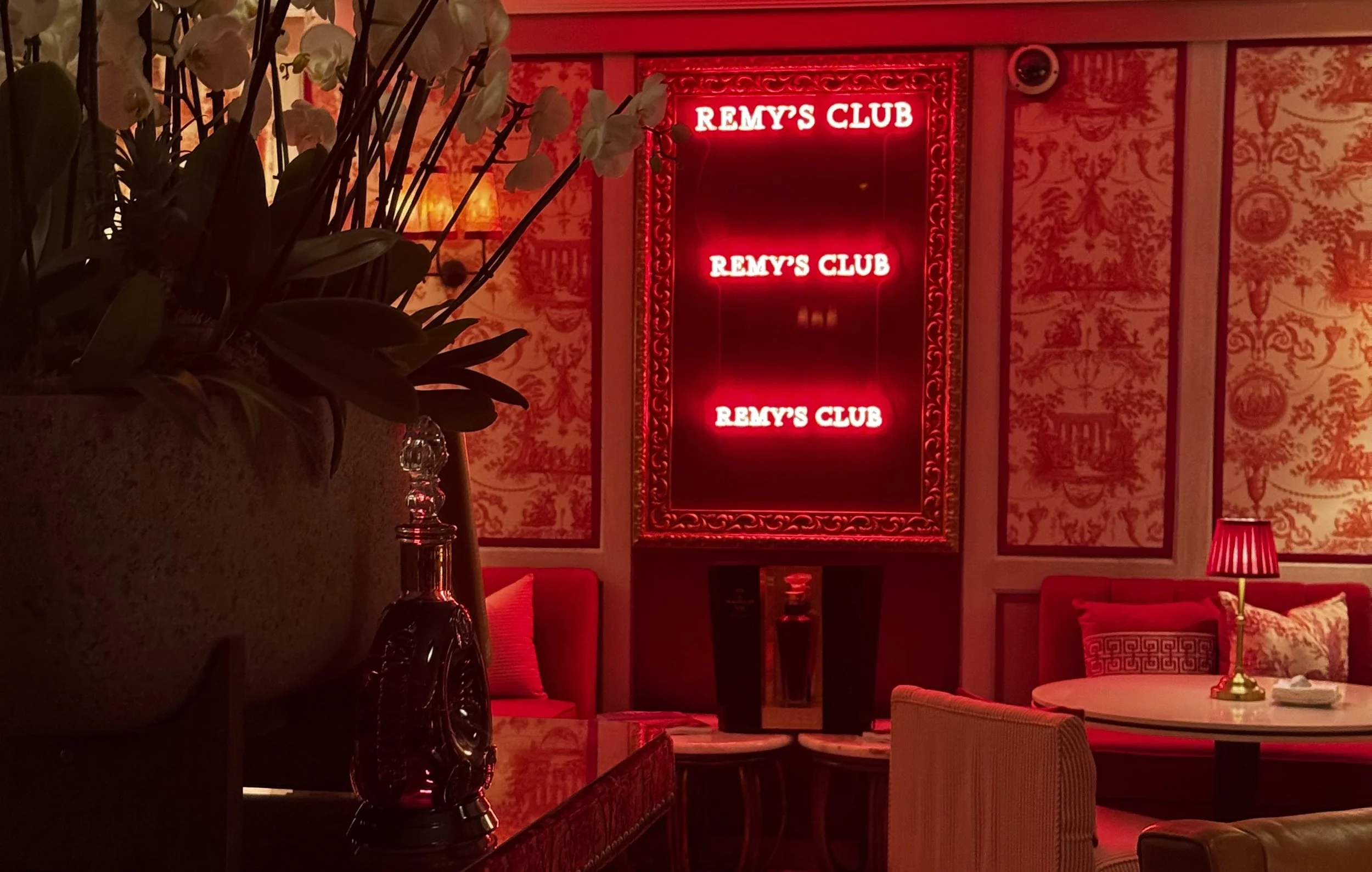 ERO - Remy's Club - 11_wU4no.jpeg