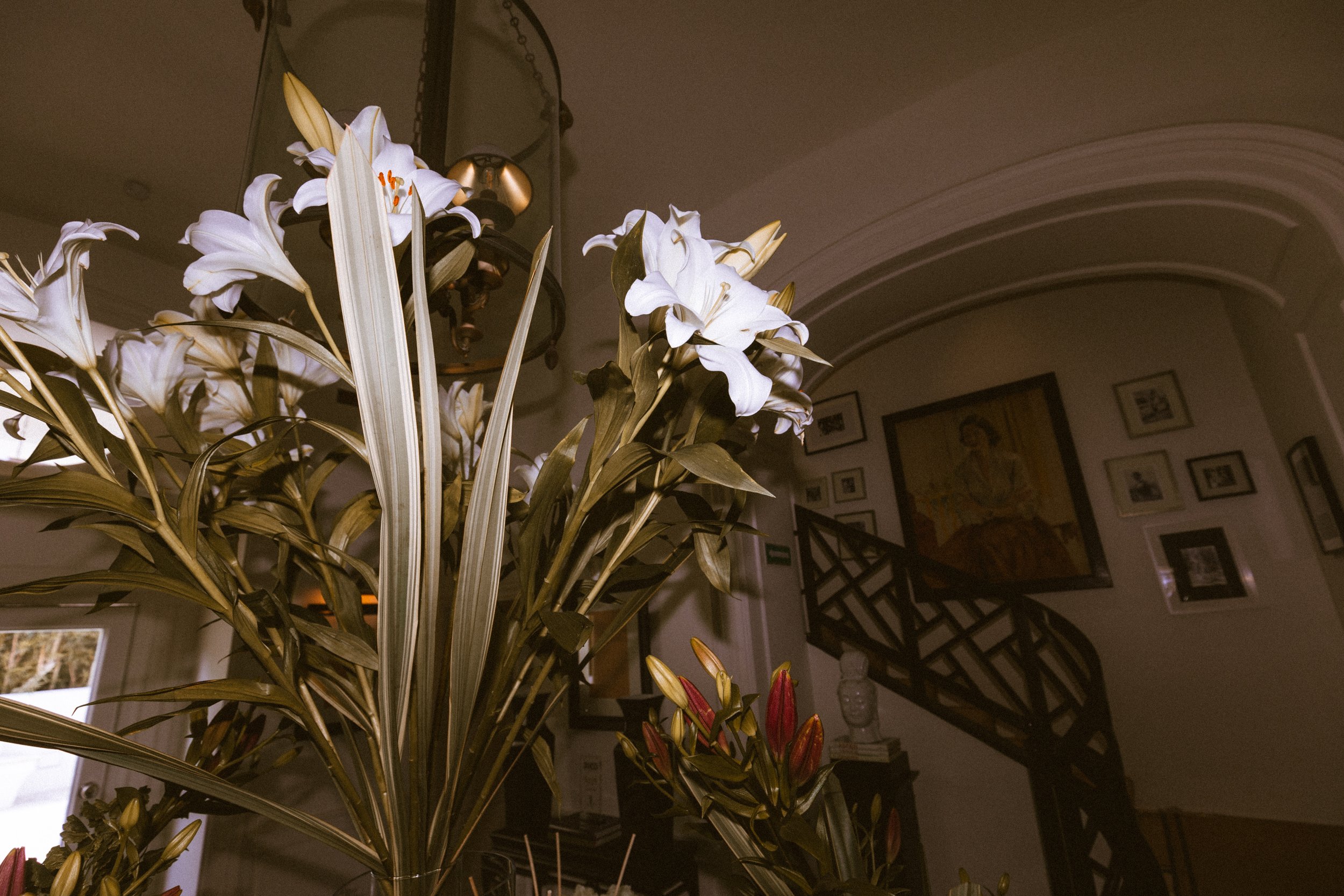 3D0A3541-40.jpg