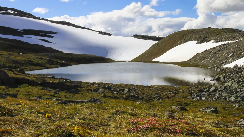 Bjønnbekktjønna