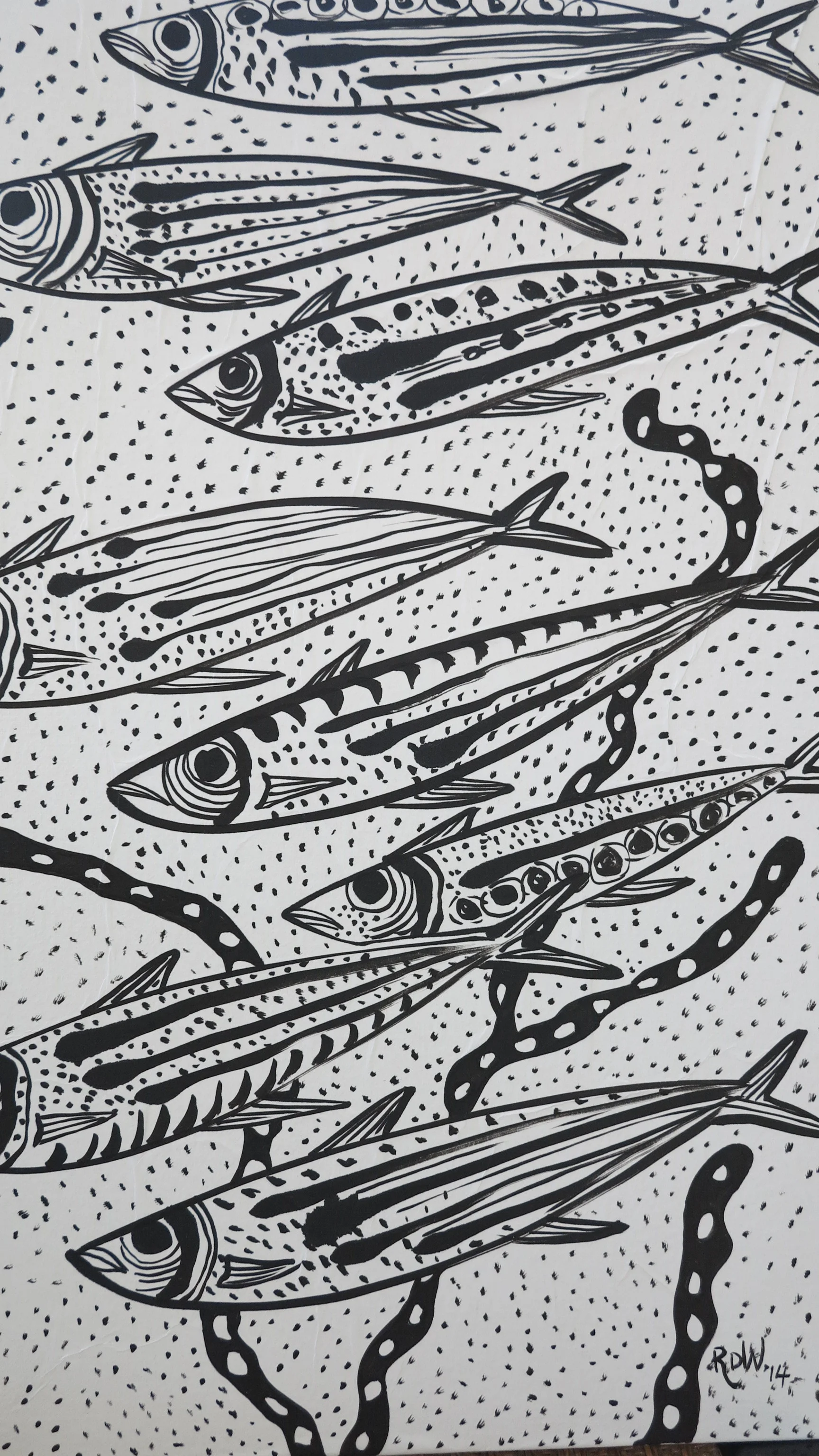 Black &amp; White Fish