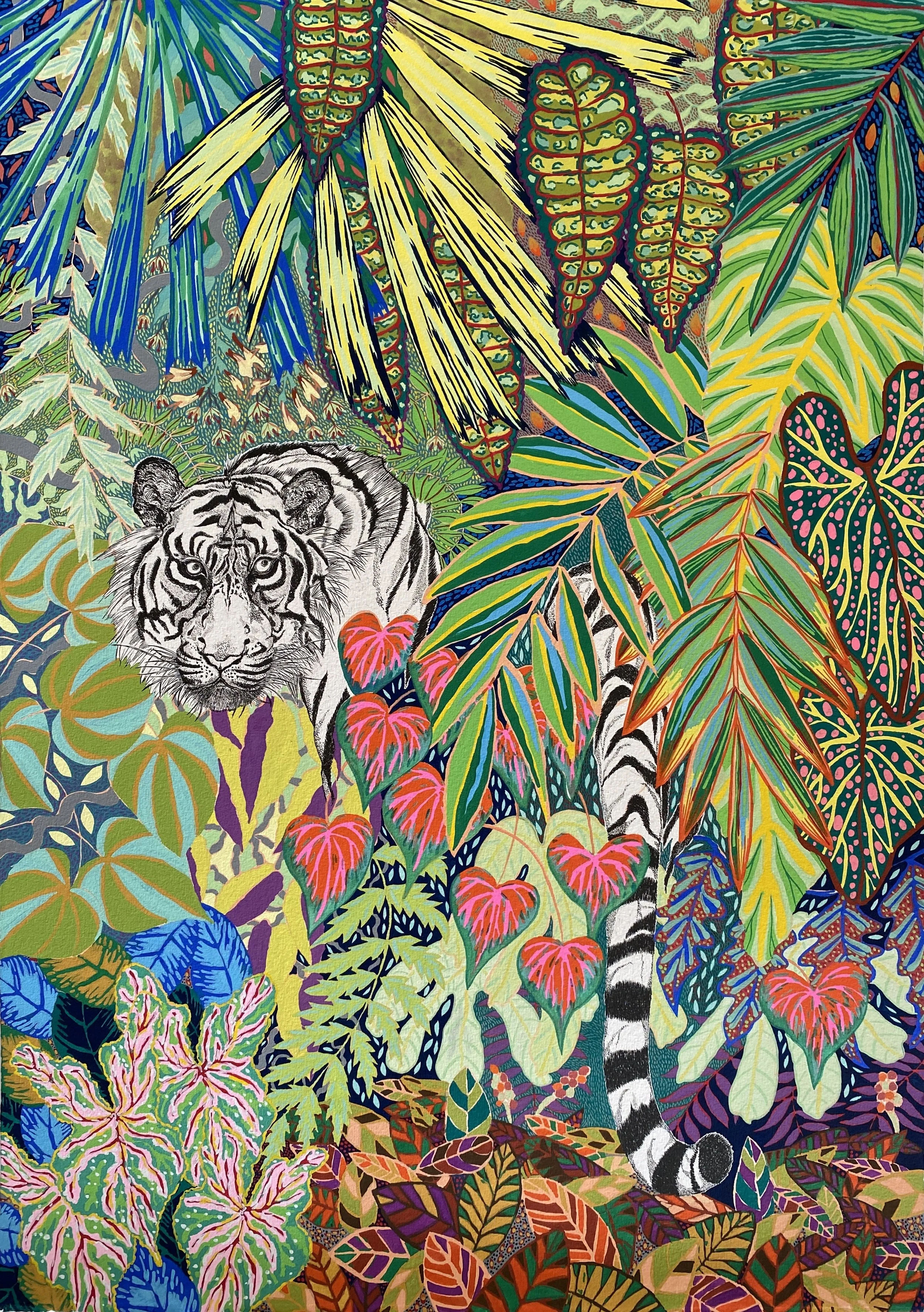 'The Disappearing Tiger'