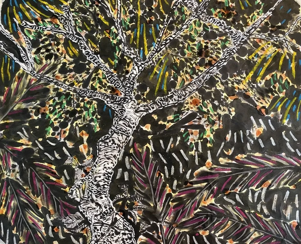 Fig Tree at Tiger Rock