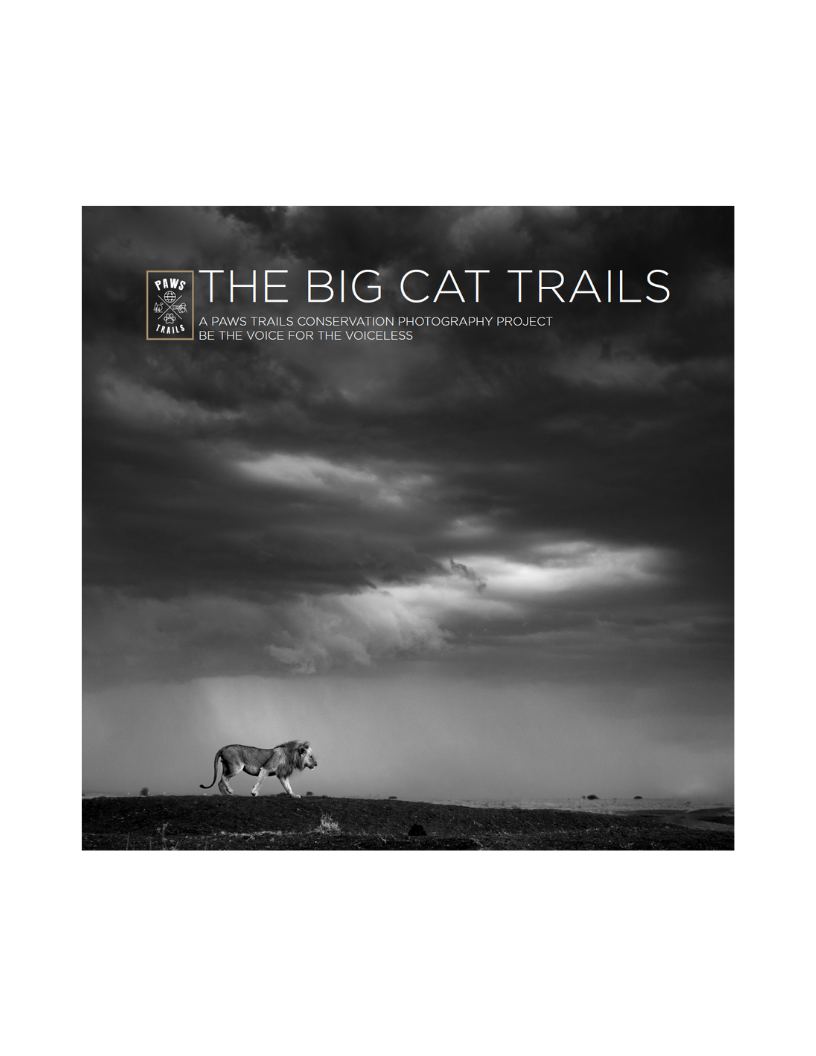 The Big cat trails published book  in the United Emirates