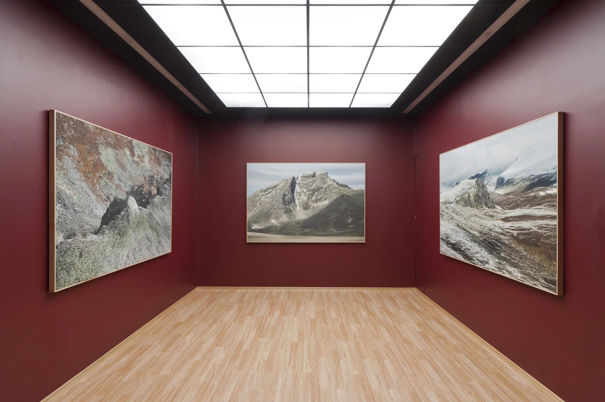 Text for Andreas Bennin's Domestications, Fotogalleriet 2013