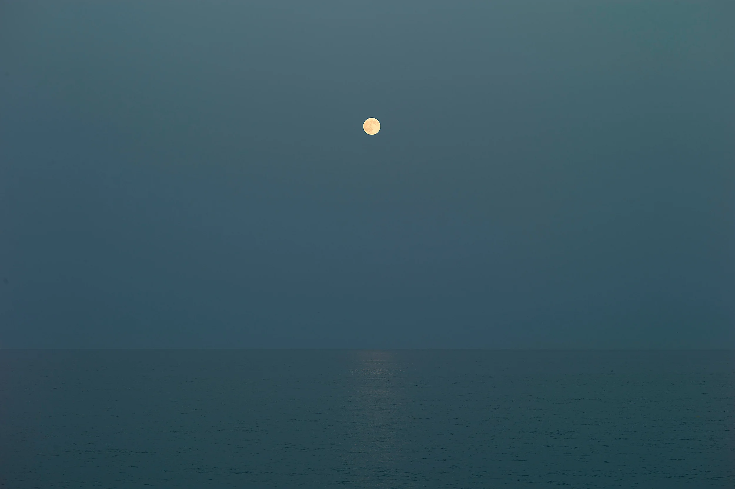 the moon, the ocean, and I. 2018