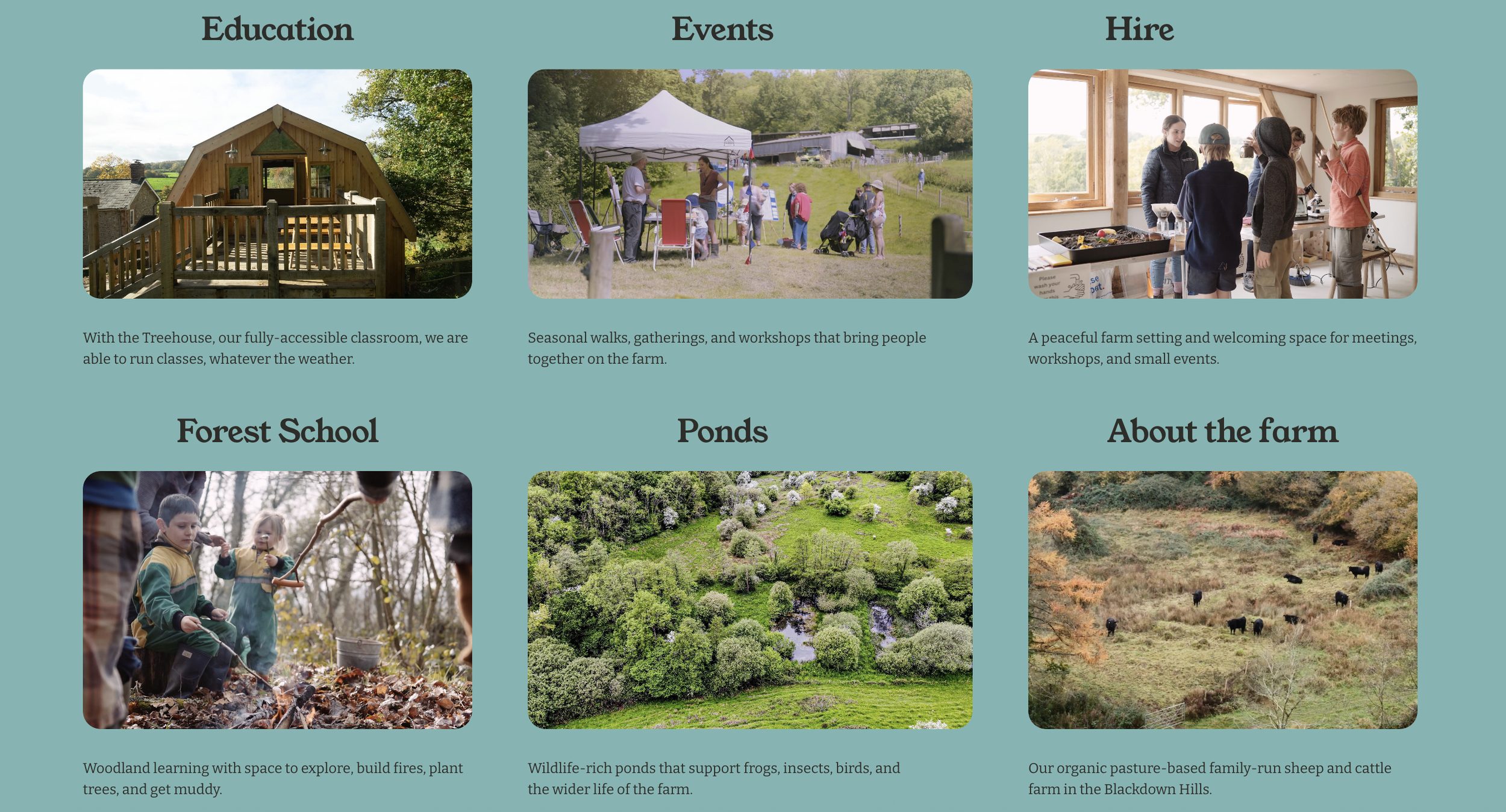 Dennings Down Farm web page